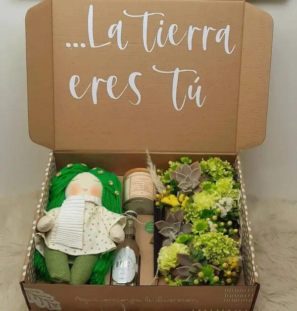 gift box terra regalo