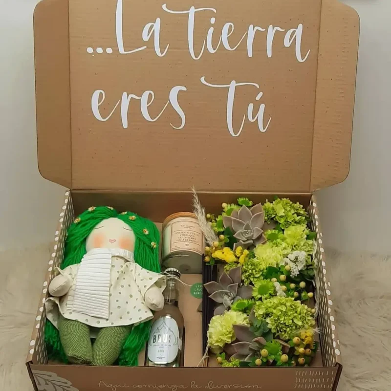 gift box terra regalo